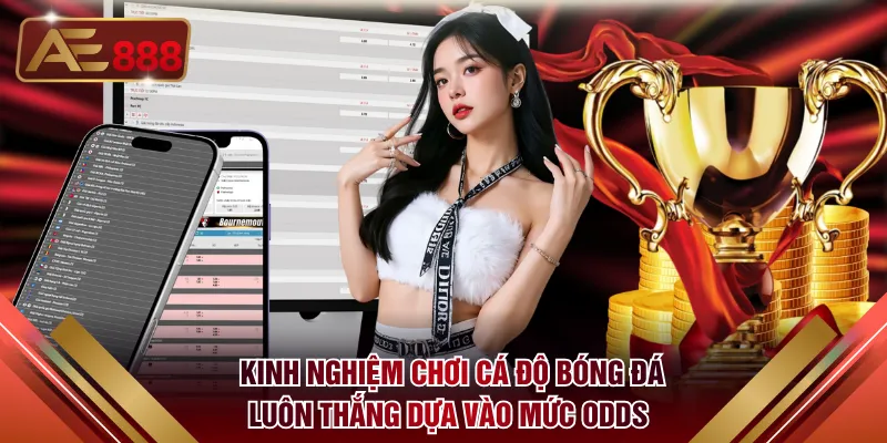 Kinh nghiệm chơi cá độ bóng đá luôn thắng dựa vào mức odds 